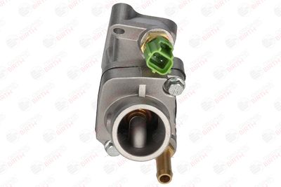 FLANSA LICHID RACIRE BIRTH 81766 1