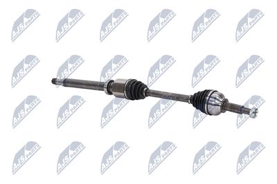 PLANETARA NTY NPWFR074 10