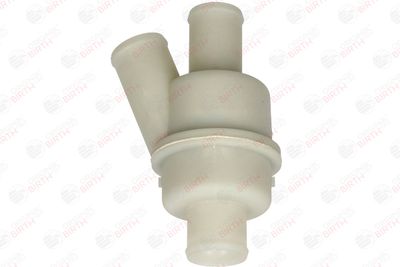 FLANSA LICHID RACIRE BIRTH 81760 10