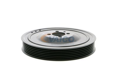 FULIE CUREA ARBORE COTIT VAICO V401481 21