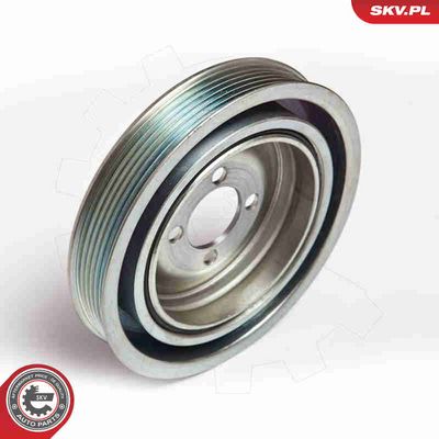 FULIE CUREA ARBORE COTIT ESEN SKV 95SKV312 1