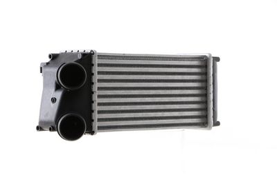 Charge Air Cooler CI 16 000S