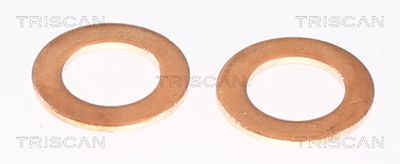 Bremžu šļūtene TRISCAN 8150 10145