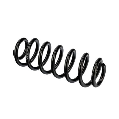 ARC SPIRAL EIBACH R13607 9