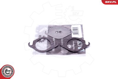 SET DE REPARAțIE SUPAPă AGR