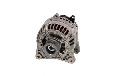 GENERATOR / ALTERNATOR REMANTE 011003000699R 60