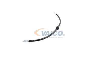 FURTUN FRANA VAICO V201909 27