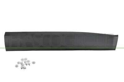 ZIER-/SCHUTZLEISTE TüR