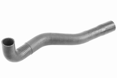 FURTUN EAR SUPRAALIMENTARE