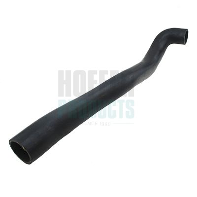 FURTUN EAR SUPRAALIMENTARE