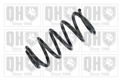 QUINTON HAZELL QCS8593 Пружина подвески  для MINI MINI COOPER (Мини Мини коопер)