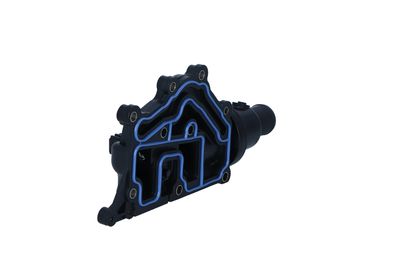 TERMOSTAT LICHID RACIRE NRF 725053 21