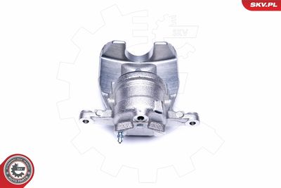 Brake Caliper 42SKV232