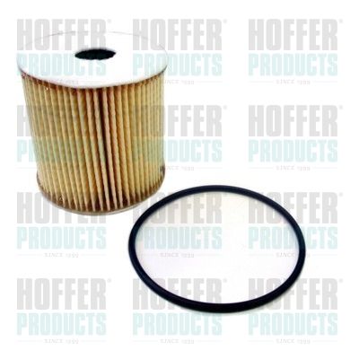 Масляный фильтр HOFFER 14010