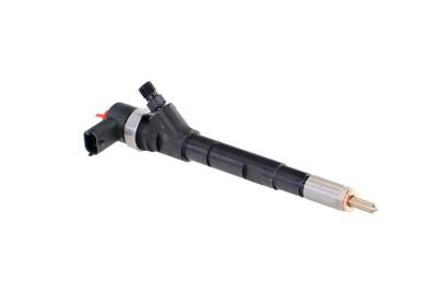 INJECTOR REMANTE 002003001670R 48