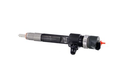 INJECTOR REMANTE 002003001695R 14