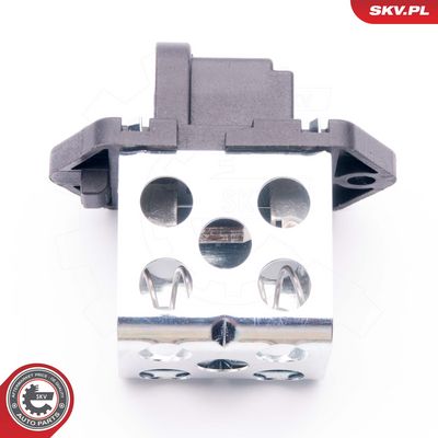 Varža, vidaus pūtiklis