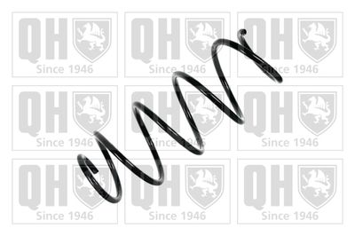 QUINTON HAZELL QCS7805 Пружина подвески  для FIAT (Фиат)