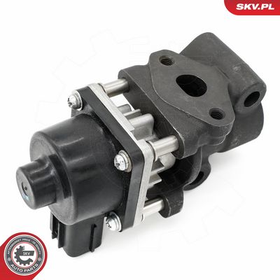 AGR-Ventil SKV 14SKV260