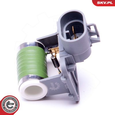 Varža, vidaus pūtiklis