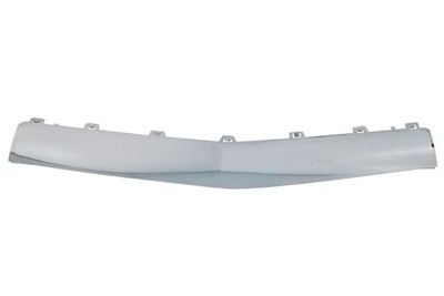 Bumperbekleding Voor (Midden, chroom, AMG) past: MERCEDES CLS C218 09.14-12.17