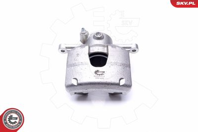 Brake Caliper 46SKV972