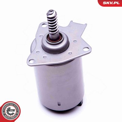 ELEMENT DE REGLARE ARBORE EXCENTIRC (CURSA VARIABILA VENTIL ESEN SKV 96SKV087 3