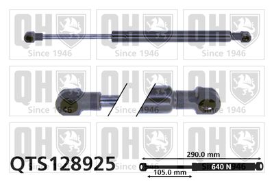 газов амортисьор, капак на двигателя QUINTON HAZELL QTS128925