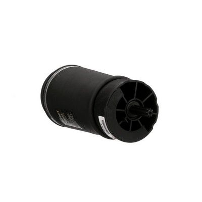 LUFTFEDER FAHRWERK Arnott A2831 20