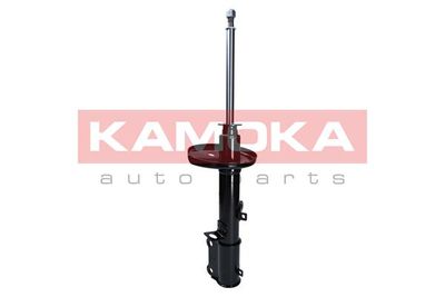 Shock Absorber 2000303