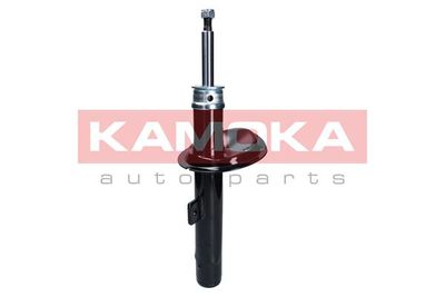 Shock Absorber 2001051