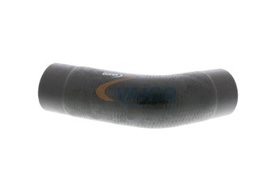 LADELUFTSCHLAUCH VAICO V102888 36