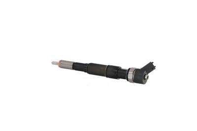 INJECTOR REMANTE 002003001174R 13