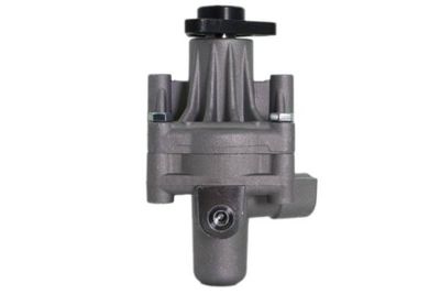 Hydraulic Pump, steering 55.5280