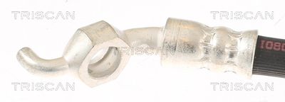 FURTUN FRANA TRISCAN 815013419 1