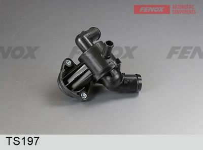 термостат, охладителна течност FENOX TS197