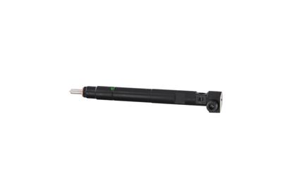 INJECTOR REMANTE 002003000176R 18