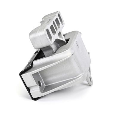 LAGERUNG MOTOR DELPHI TEM272 9