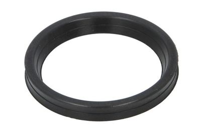 Seal Ring, charge air hose DCR271TT