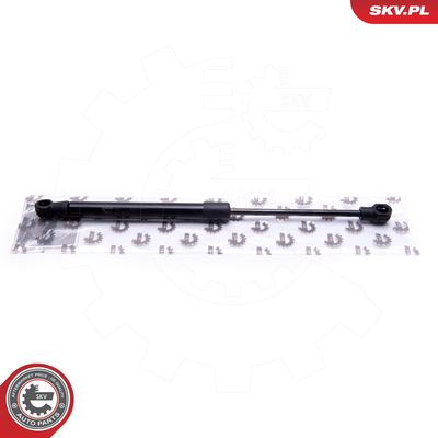 Dujinė spyruoklė, gaubtas