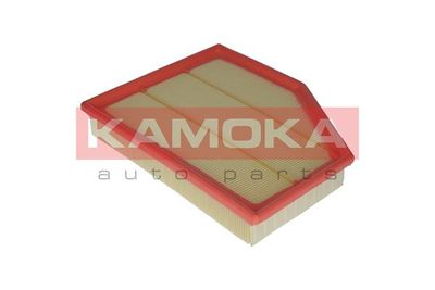 Air Filter F219501