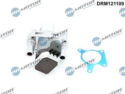 Zawór AGR DR.MOTOR AUTOMOTIVE DRM121109