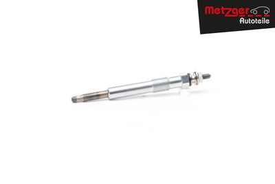 BUJIE INCANDESCENTA METZGER AUTOTEILE H1794 36