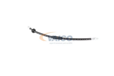 FURTUN FRANA VAICO V201908 38