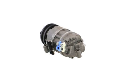 COMPRESOR CLIMATIZARE REMANTE 005001000248R 24