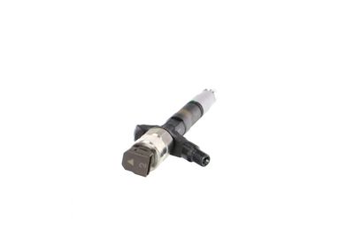 INJECTOR REMANTE 002003002213R 31