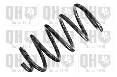 QUINTON HAZELL QCS8404 Пружина подвески  для FIAT (Фиат)