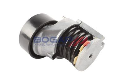 INTINZATOR CUREA CUREA DISTRIBUTIE BOGAP A1317115 1