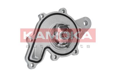 POMPă DE APă RăCIRE MOTOR KAMOKA T0259 2