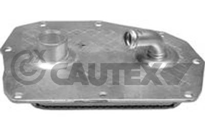 CAUTEX Ölkühler, Motoröl (768817)